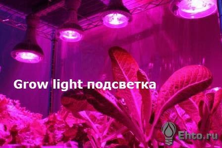 Фото подсветки растений