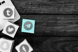 купить целевых подписчиков ТГ